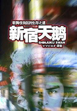 新宿天鹅,都市传说与神秘力量的交织