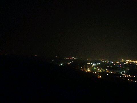 夜色缠枝,探寻都市光影中的诗意人生