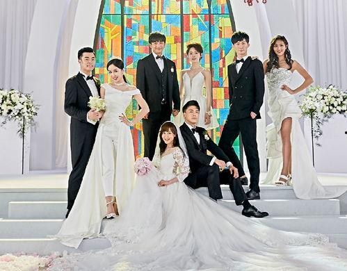 爱情公寓5,青春回忆再续，友情与爱情的新篇章